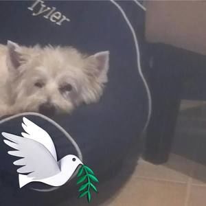 Meet your Posher, Carole